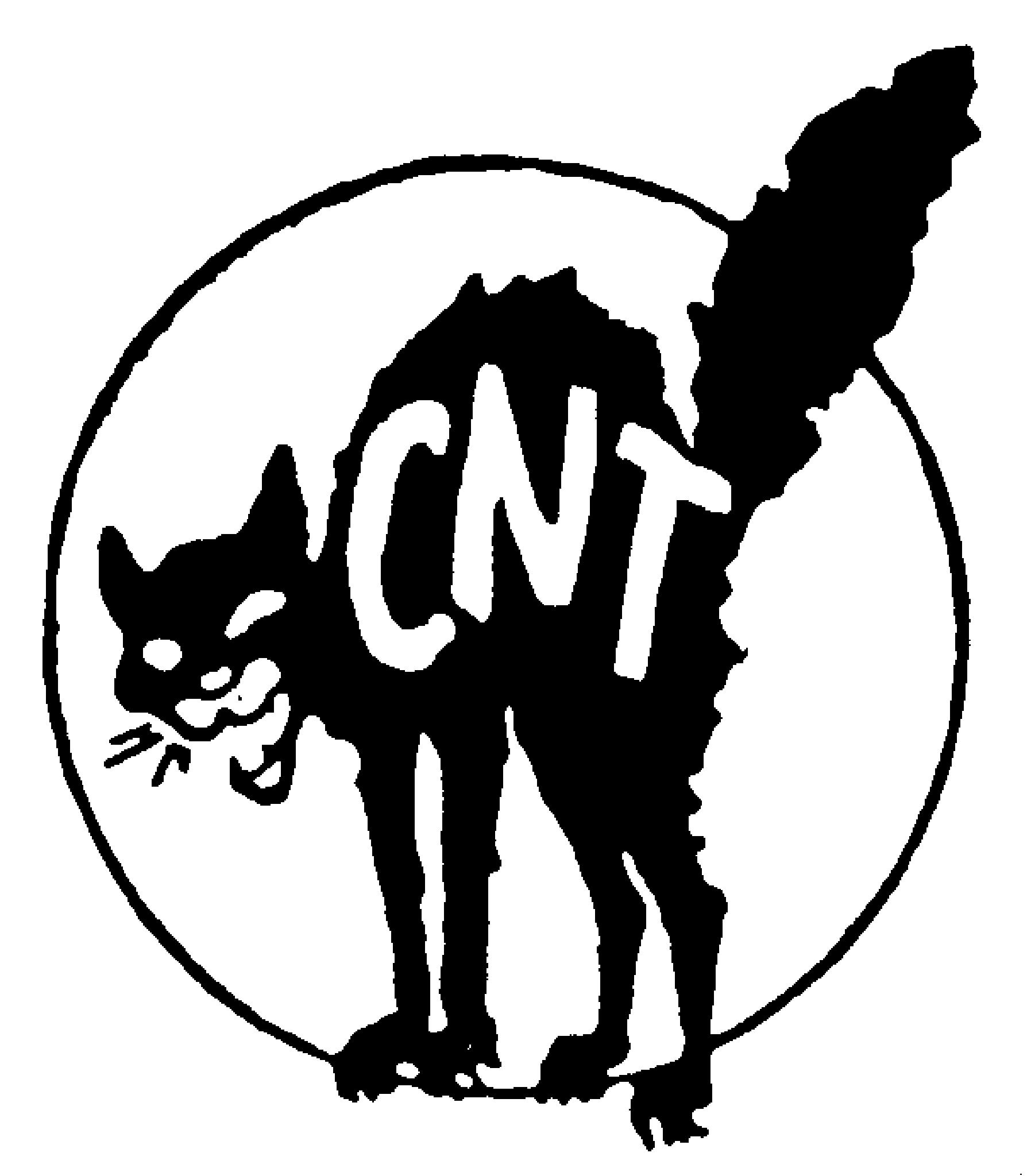 logo cnt - Confédération nationale du travail - UD 69