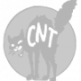 CNT - Infos N° 8