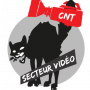 Retour en vidéos sur le festival de la CNT 2015