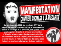 cortege-et-actions-cnt-manif-contre-chomage-precarite-1erdec2012-paris.jpg