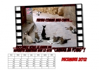 01-calendrier-2012-secteur-video-cnt-decembre.jpg