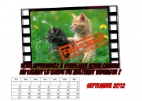 04-calendrier-2012-secteur-video-cnt-septembre.jpg